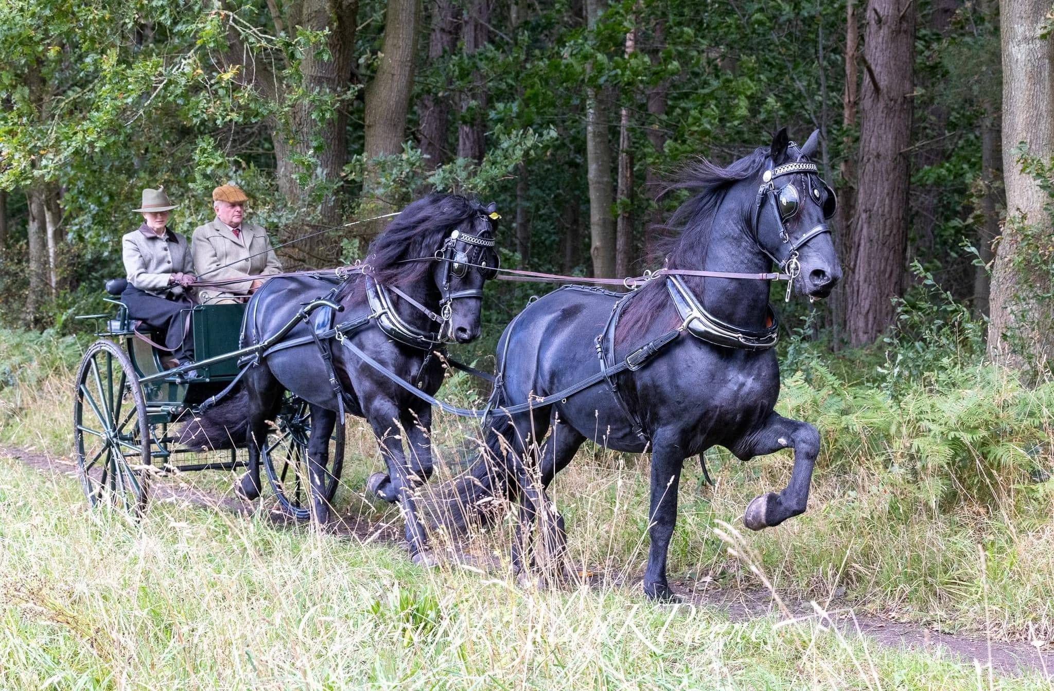 Historic Horse-Drawn Carriages Visit Grimsthorpe
