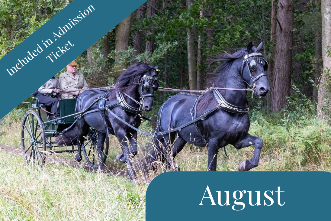 Historic Horse-Drawn Carriages Visit Grimsthorpe