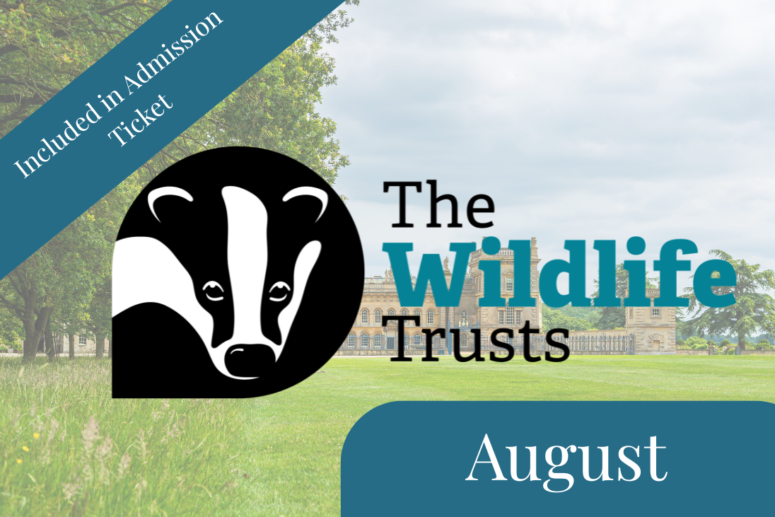 Wildlife Trust Pop Up