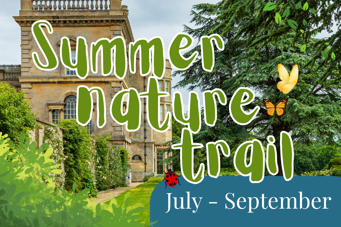 Summer Nature Trail